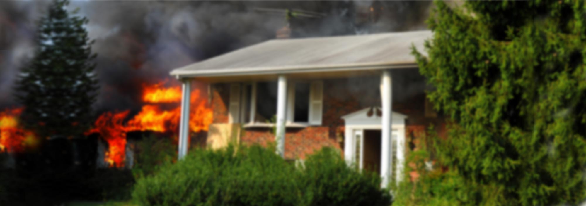 water damage cleanup Chicago, mold remediation specialist, sewage cleanup services, emergency fire and water restoration, black mold removal service, water damage restoration service