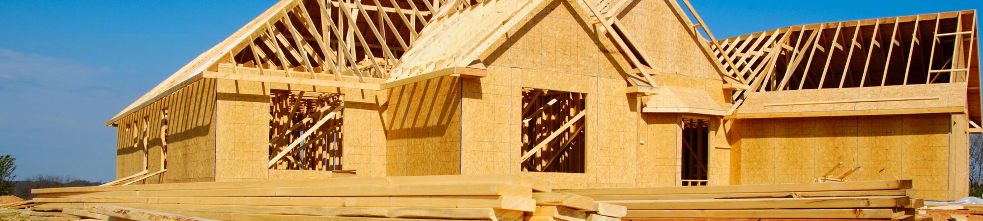 Black Mold Removal Service, Fire & Water Restoration Services