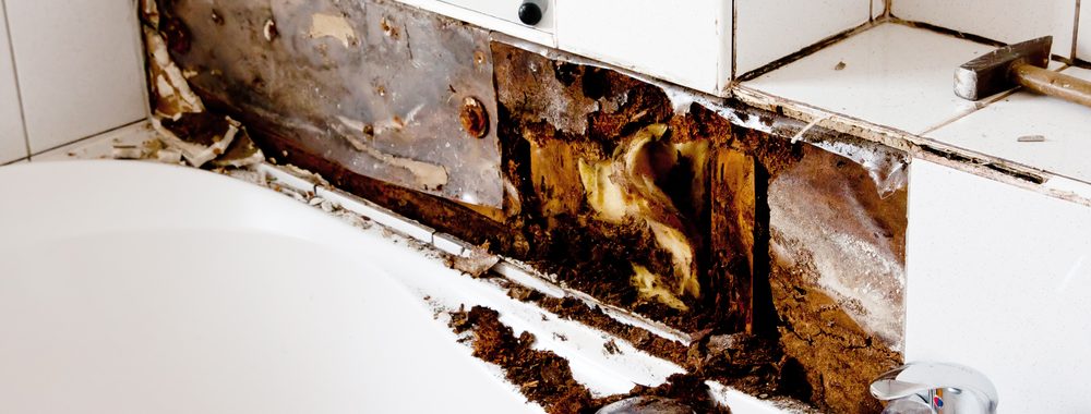 Mold can grow behind bathroom tiles and walls due to leaks | Mold remediation specialist services by McMahon Services and Construction of Chicago, Arlington Heights, Berwyn, Des Plaines, Evanston, Grayslake, Mundelein, Libertyville, and Skokie, IL