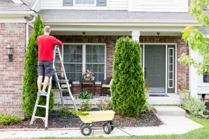 Trim trees and shrubs to help prevent branches and debris from landing on your home and causing damages | Home maintenance tips by McMahon Services and Construction of Chicago, Arlington Heights, Berwyn, Des Plaines, Evanston, Grayslake, Mundelein, Libertyville, and Skokie, IL