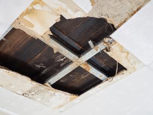 water damaged ceiling with mold | Water damage restoration services by McMahon Services and Construction of Chicago, Arlington Heights, Berwyn, Des Plaines, Evanston, Grayslake, Mundelein, Libertyville, and Skokie, IL