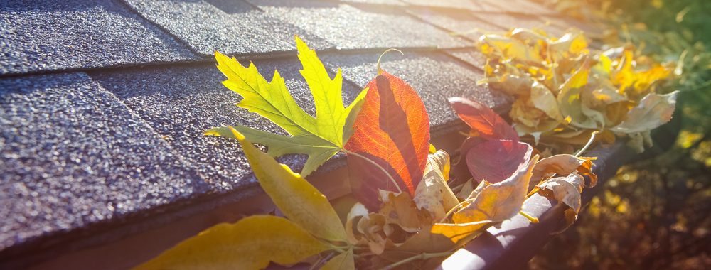maintenance tips to prevent roof damage by McMahon Services and Construction of Chicago, Arlington Heights, Berwyn, Des Plaines, Evanston, Grayslake, Mundelein, Libertyville, and Skokie, IL