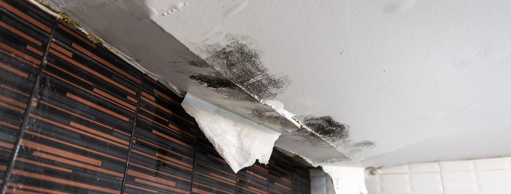 Ceiling damage due to water leaking from bathroom upstairs | Water damage restoration services by McMahon Services and Construction of Chicago, Arlington Heights, Berwyn, Des Plaines, Evanston, Grayslake, Mundelein, Libertyville, and Skokie, IL